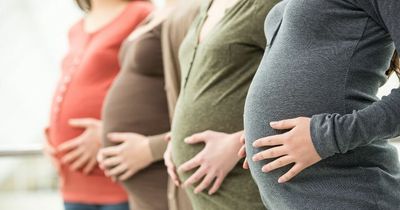 NHS should change guidance on pregnant women eating fish, Bristol study finds