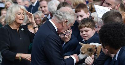 Camilla's touching response to girl's drawing of Queen as corgi licks King Charles