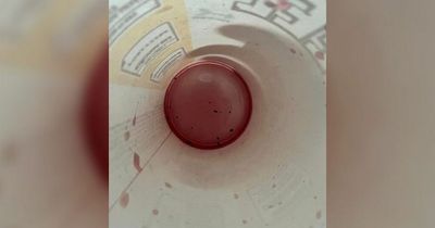 McDonald's customer disgusted after being served drink with dirt in it
