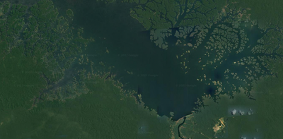 A dam built in the Amazon created thousands of 'forest islands' but they are too small to sustain most species