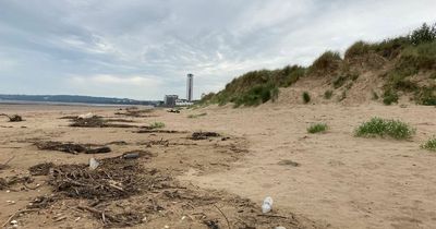 Swansea Council discussing 'damage to sand dunes' with docks owner