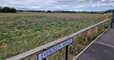 'It's just an absolute eyesore' Angry residents say unfinished green areas now look like 'wasteland'