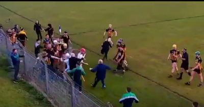 Mass brawl breaks out at Limerick club hurling match