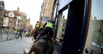 Edinburgh police horse slips and falls on pavement in heart-stopping moment