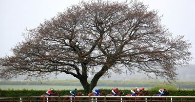 Newsboy's Wednesday horse racing tips and NAP for Beverley, Yarmouth, Sandown and Kelso