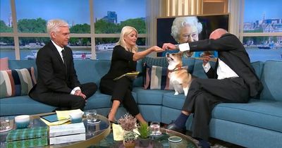 ITV This Morning viewers confused by Holly Willoughby's reaction as Corgi makes appearance on the sofa
