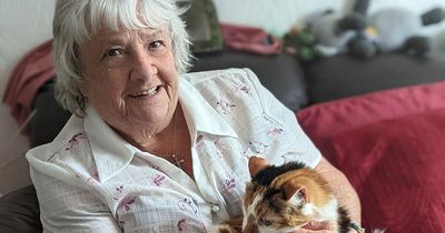 Cat missing for 6 years in 'miracle' reunion with family after being found just streets away in County Durham village