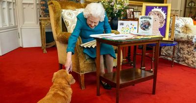 The Queen wrote funny letters to her staff's dogs from her Corgis