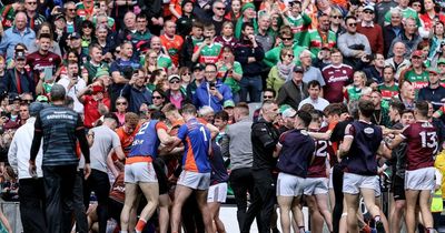 Another day, another brawl: The GAA's attitude to discipline needs to change