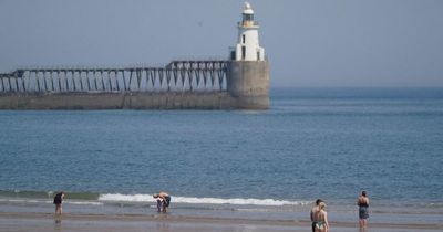 North East weather: Hour-by-hour forecast for Wednesday and Thursday according to the Met Office