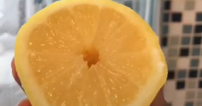 The 30p shower cleaning hack using household ingredient to leave glass sparkling