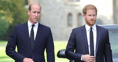 William and Harry to unite and poignantly walk together behind the Queen's coffin