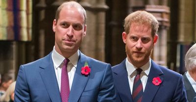 Prince Harry and Will to walk side by side for Queen's journey to Westminster Hall