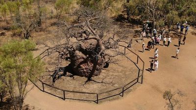 Judges go bush to learn about Indigenous culture, with aim to deliver fairer justice in courts