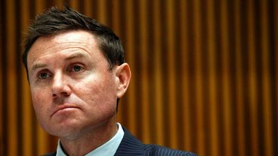 Nine apologises to Andrew Laming in defamation case over television report