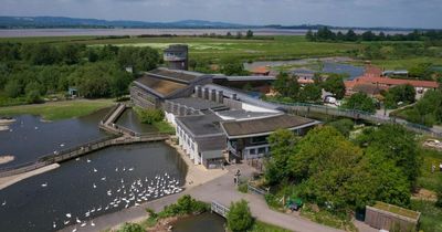 South West bird flu outbreak sees bird centres take extra safety measures