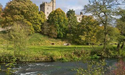 Citizen scientists to monitor English rivers in £7m scheme