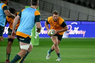 Wallabies out to avoid 'world of hurt' against All Blacks