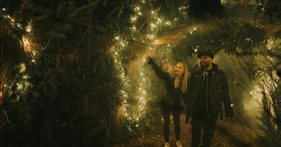 Rooftop cinema to show host of Christmas classic movies from Elf to Muppet's Christmas Carol