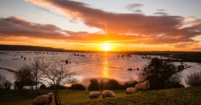 Weather across Wales set to be 'noticeably cooler' over the coming days