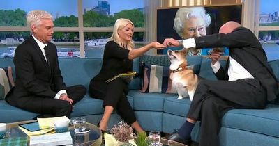 ITV This Morning fans pick up on Holly Willoughby's hesitancy when feeding Corgi dog