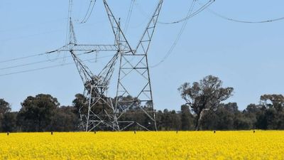 EnergyConnect's Riverina transmission line given green light by NSW government