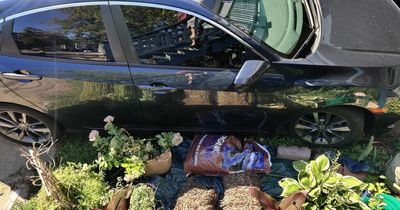 Man fumes as 'lazy' neighbour won't take bins in - now she's parking in his garden
