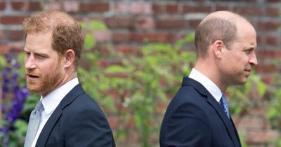 Prince Harry's publisher tight-lipped over date of tell-all memoir shrouded in secrecy