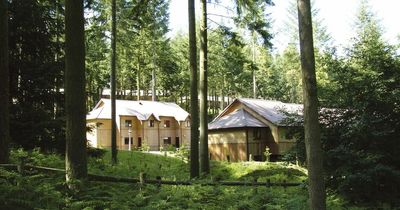 Center Parcs in more hot water after tweet suggests guests would have to stay in lodges