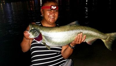 A special run of fall salmon, a bit early, and trout builds on the Illinois lakefront