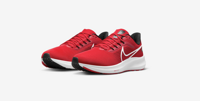 Nike Georgia Bulldogs Air Zoom Pegasus 39, here’s how to buy