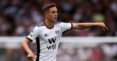 Who is new Wales wonder Luke Harris, the Fulham youngster people are beginning to talk about