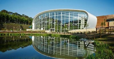 Center Parcs guests left in 'ghost town' after they were warned 'don't go outside'