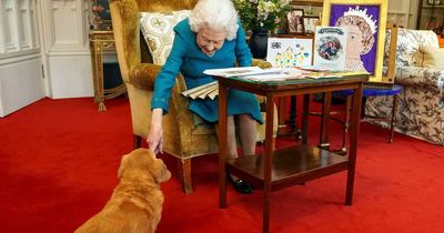 Prince Andrew's other dogs as Queen's corgis move into £30 million Royal Lodge