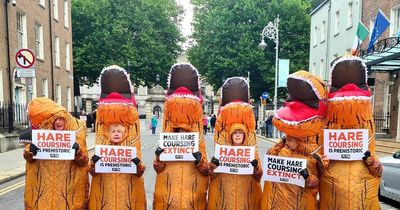 Dinosaurs 'rise from the dead' to protest outside the Dail