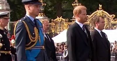 Prince William and Prince Harry's reunion at Queen's procession leaves people in tears