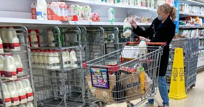 Milk, cheese and eggs prices in UK supermarkets compared as food prices rise to 14-year high