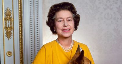 Queen had 'powerful influence' over corgis and didn't need help, royal worker says