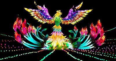 Lightopia returns to Heaton Park with a new immersive musical display