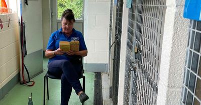 Abandoned dogs are being read books in kennels to help them sleep at night