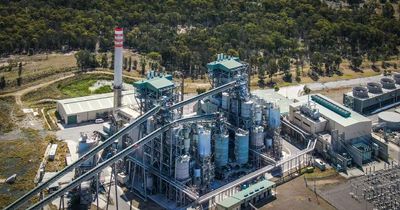 Branching out to biomass for NSW electricity isn't the right decision