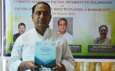 Forest roads, podu issues take centre stage at review meeting