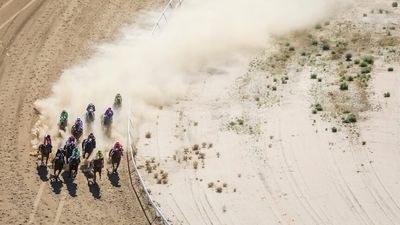 Horse racing insiders say Birdsville Races investigation casts shadow over events