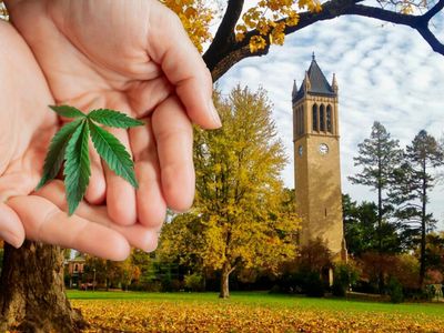 Iowa: Do The Senate Candidates Support Cannabis Legalization?