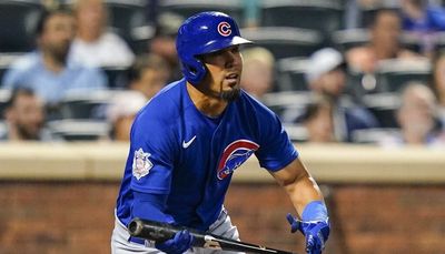 Cubs call up Jared Young, put Rafael Ortega on 60-day IL