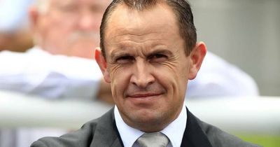 Chris Waller's trio tough to go past in Newcastle Cup
