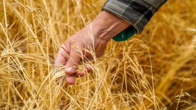 Farmer confidence dips to its lowest point in three years