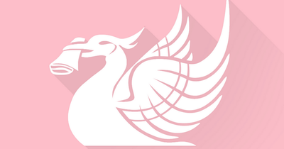 Liverpool ECHO to turn social media logos pink for Olivia Pratt-Korbel
