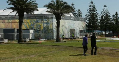 Foreshore Park transforms for Van Gogh Alive