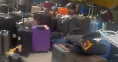 Passenger endures 40-hour nightmare searching for lost luggage in Dublin Airport warehouse